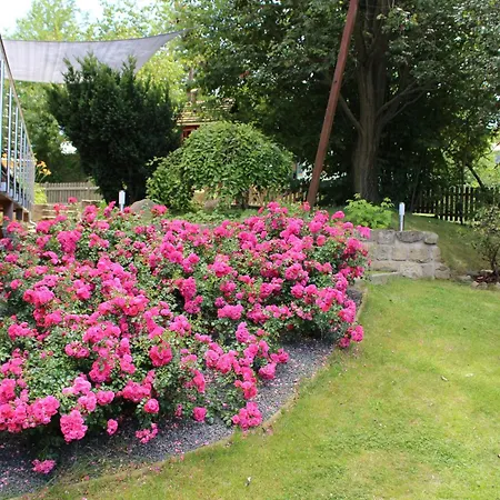 Ferienhaus Kraxlhütte Waltersdorf *